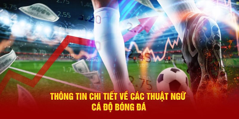 Thuật ngữ cá độ bóng đá trong các tỷ lệ cược phổ biến