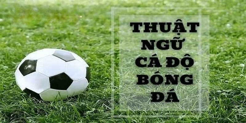 Những thuật ngữ hay được người chơi sử dụng