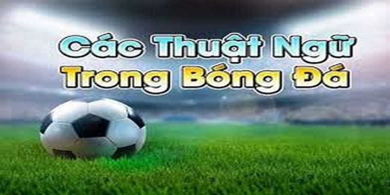 Khái niệm về thuật ngữ kèo Odds trong bóng đá